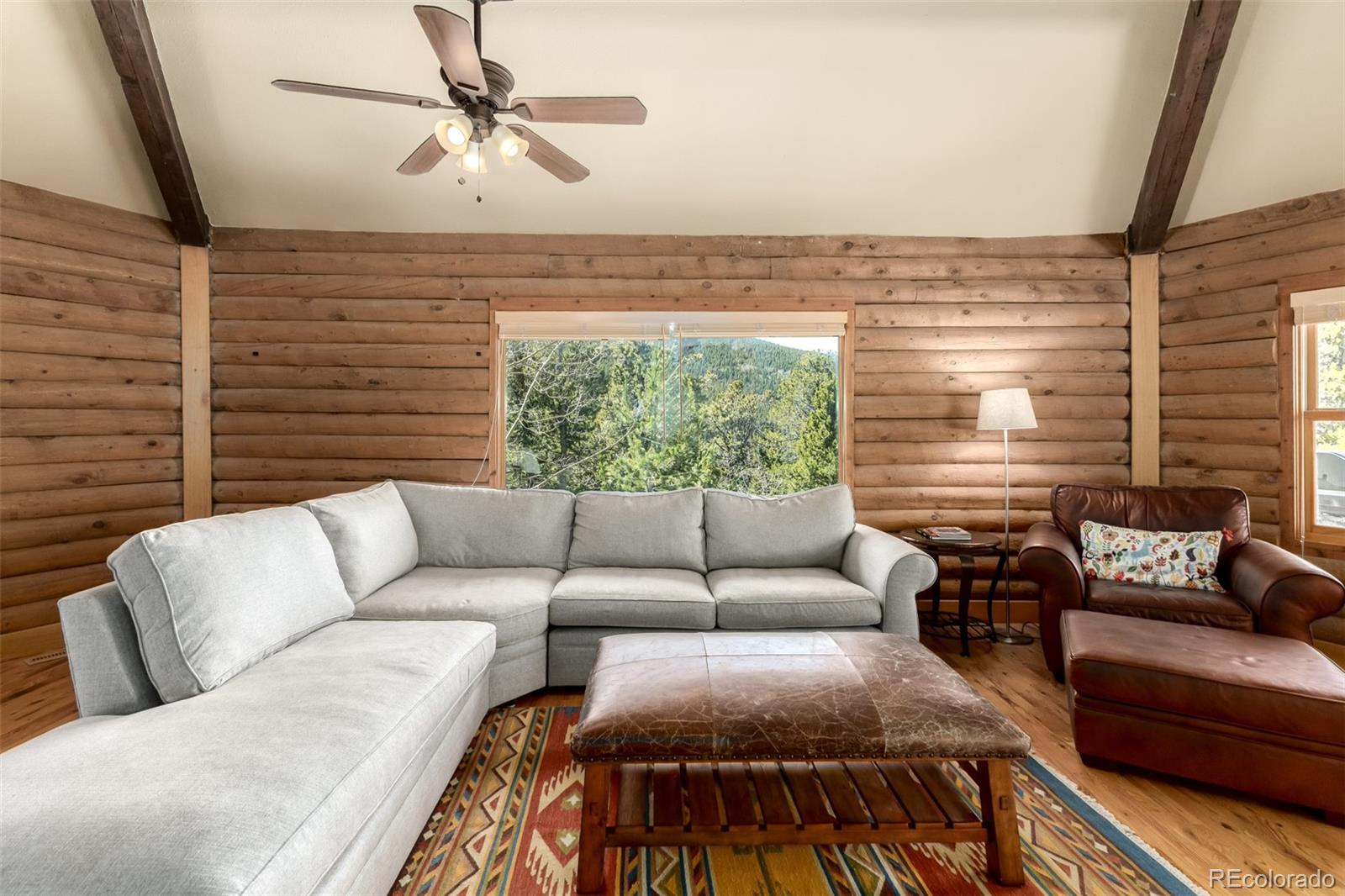 260 Pine Drive Idaho Springs CO 80452