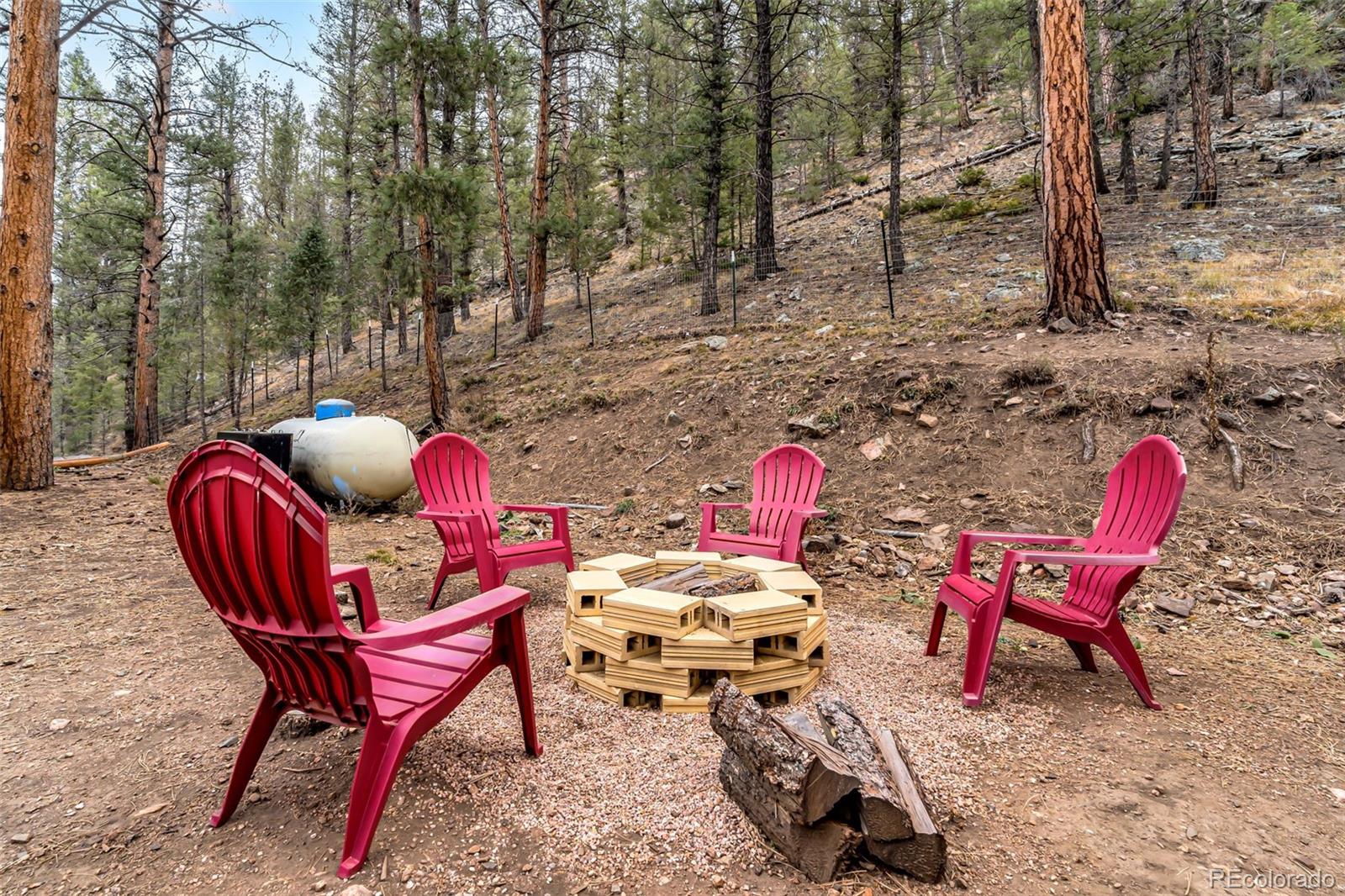 14601 S Elk Creek Road Pine CO 80470
