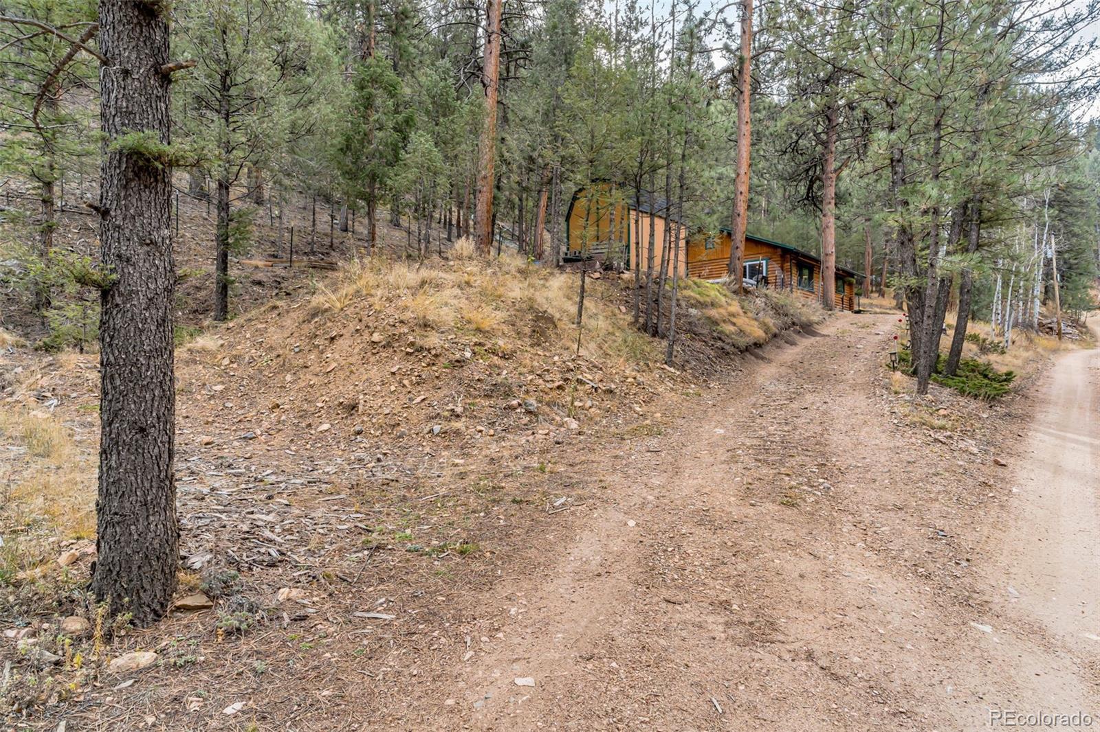 14601 S Elk Creek Road Pine CO 80470
