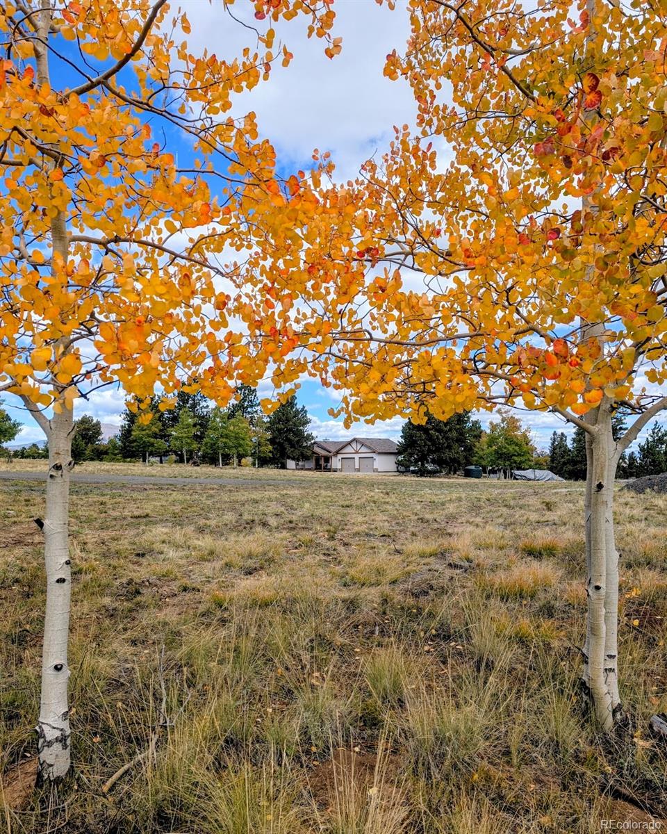 3561 Singletree Road Hartsel CO 80449