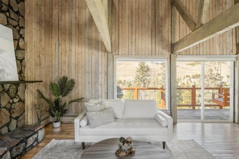 297 Deer Path Road Dillon CO 80435