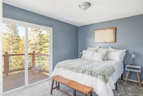 297 Deer Path Road Dillon CO 80435