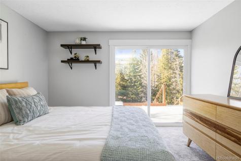 297 Deer Path Road Dillon CO 80435