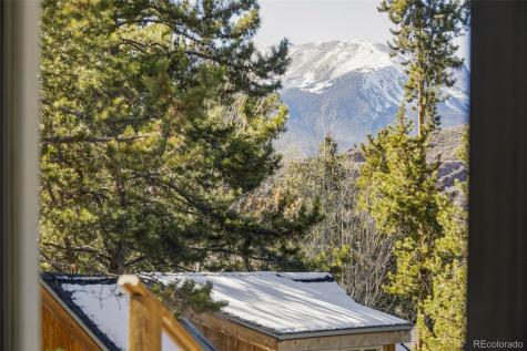 297 Deer Path Road Dillon CO 80435