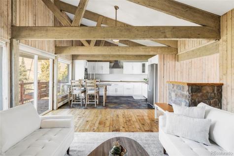 297 Deer Path Road Dillon CO 80435