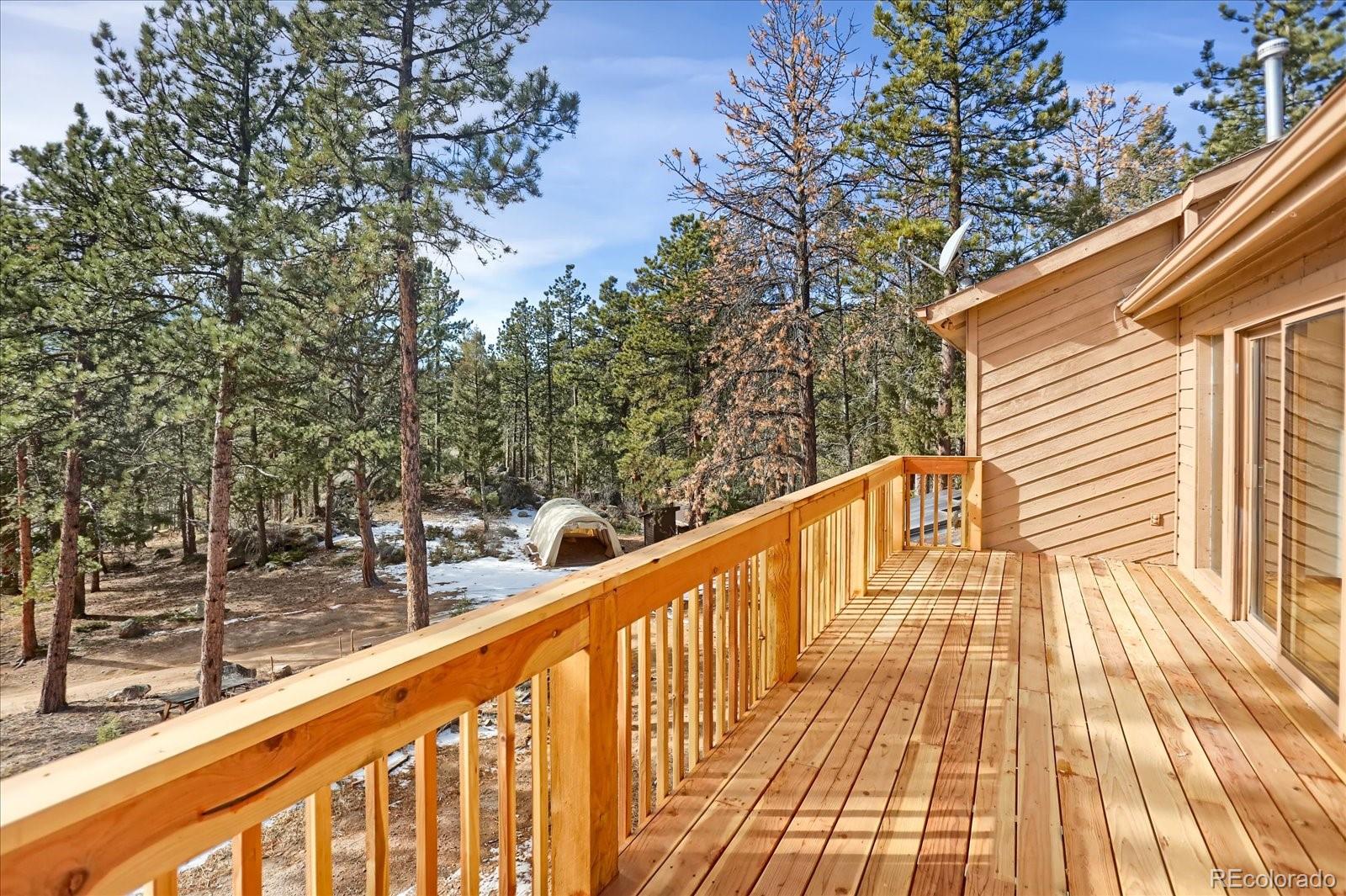 12345 Bear Haven Road Conifer CO 80433