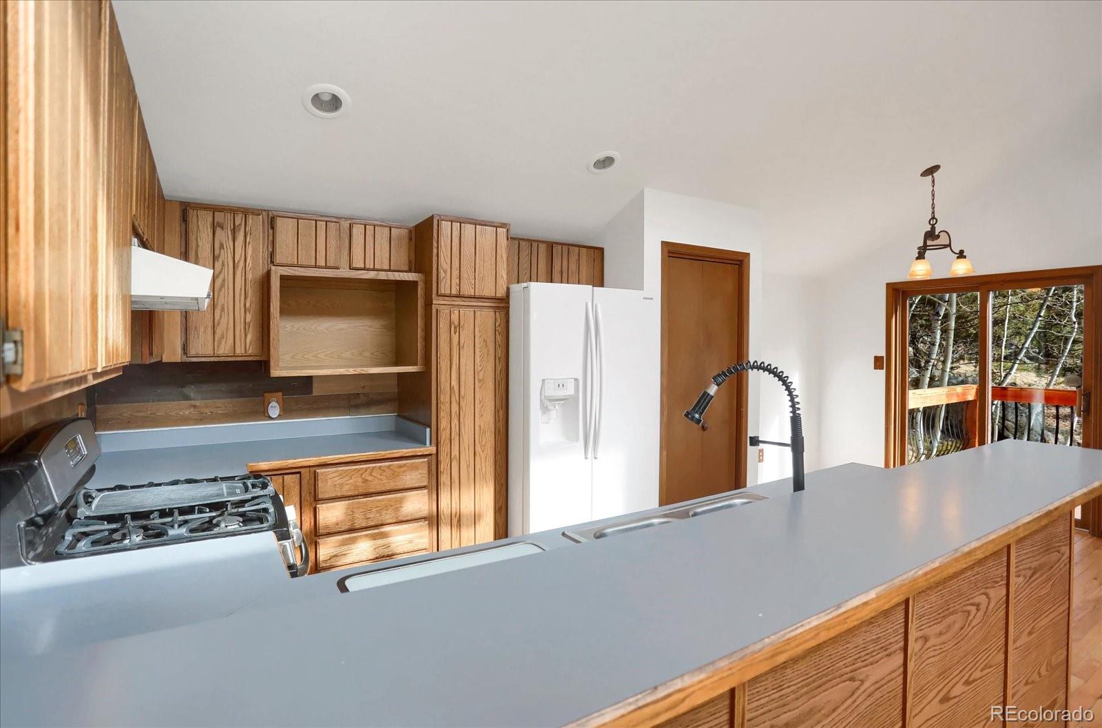 12345 Bear Haven Road Conifer CO 80433