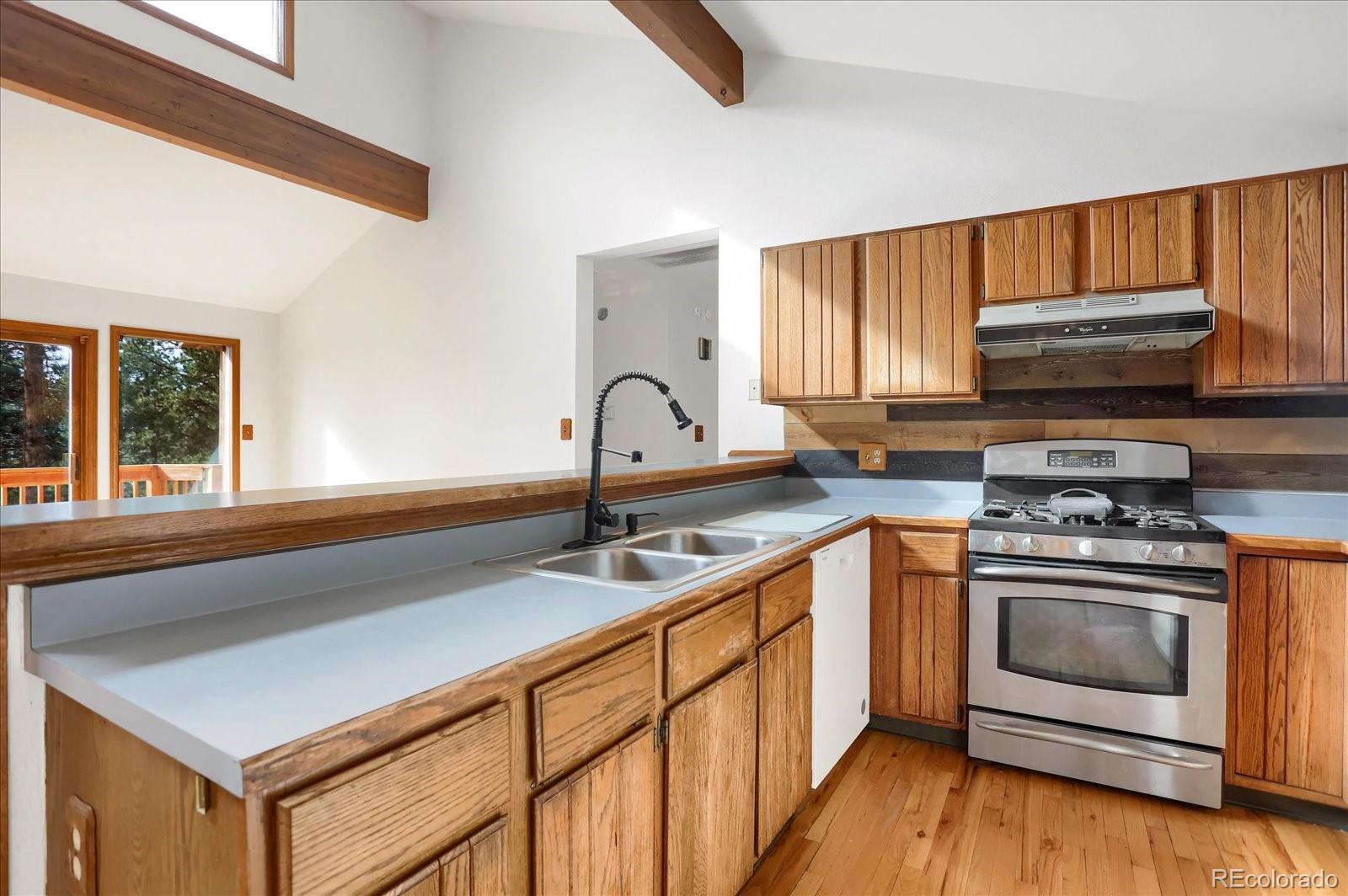 12345 Bear Haven Road Conifer CO 80433