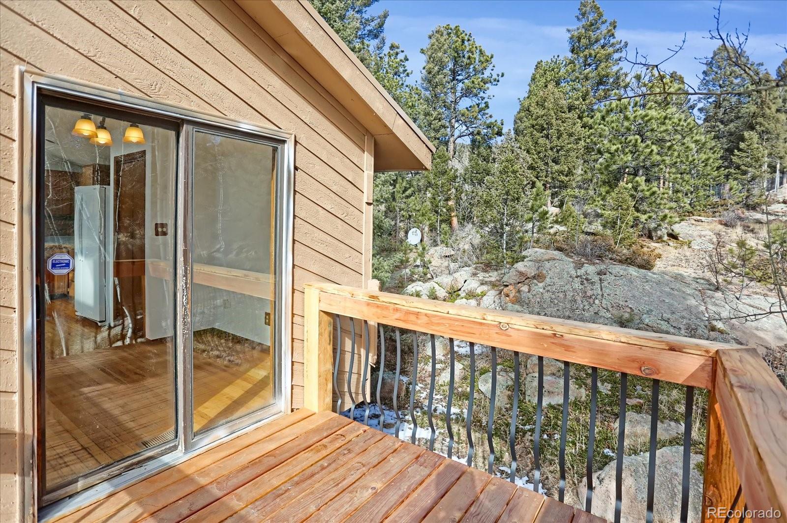 12345 Bear Haven Road Conifer CO 80433