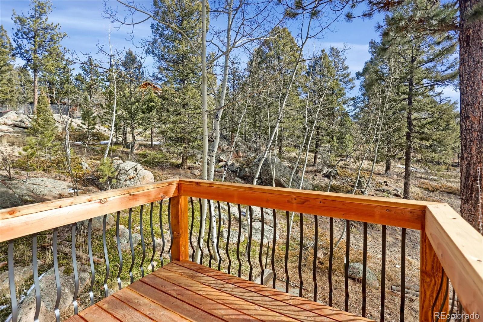 12345 Bear Haven Road Conifer CO 80433