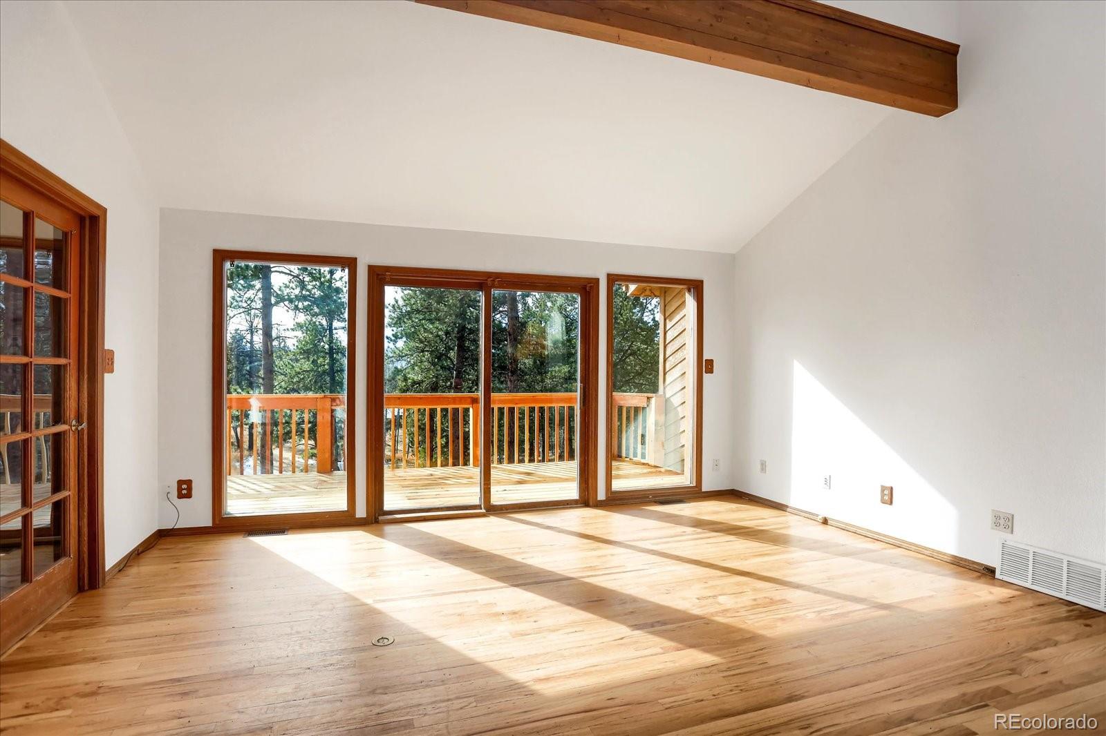 12345 Bear Haven Road Conifer CO 80433
