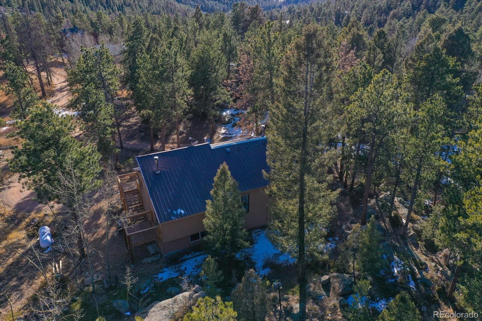 12345 Bear Haven Road Conifer CO 80433