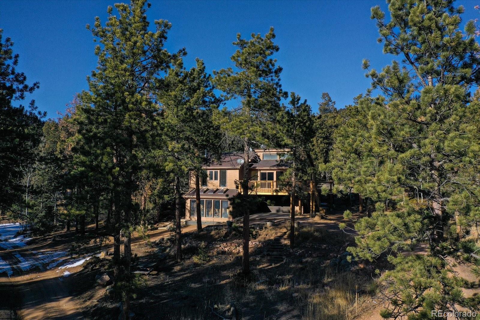 12345 Bear Haven Road Conifer CO 80433