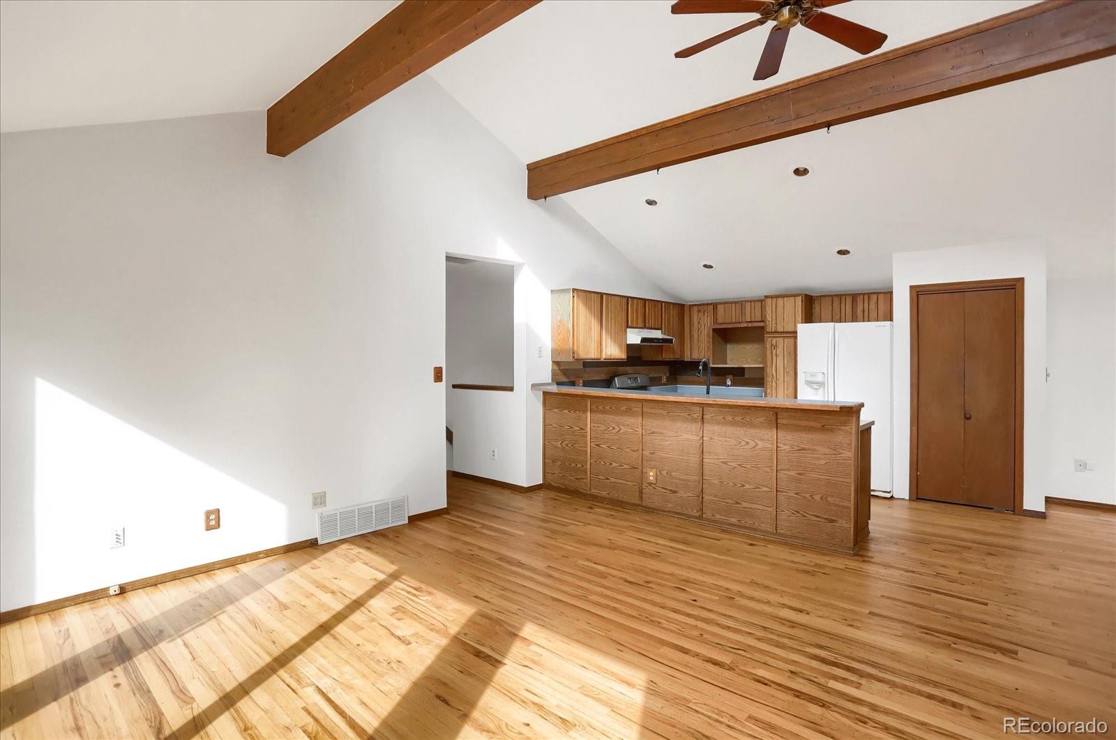 12345 Bear Haven Road Conifer CO 80433