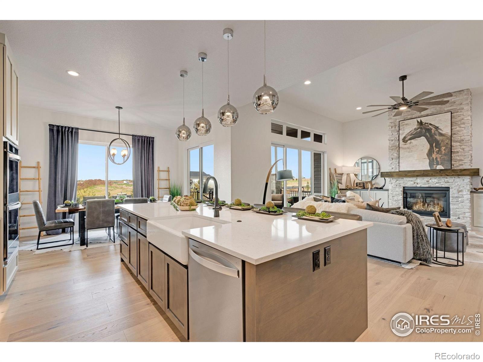 3662 N Buchanan Court Aurora CO 80019