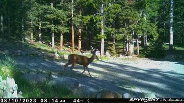 37 Mountain View Drive Fairplay CO 80440