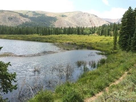 37 Mountain View Drive Fairplay CO 80440