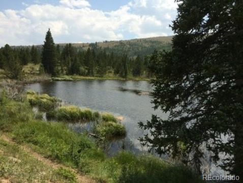 37 Mountain View Drive Fairplay CO 80440