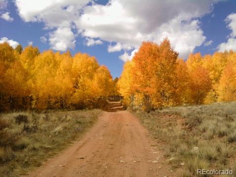 37 Mountain View Drive Fairplay CO 80440