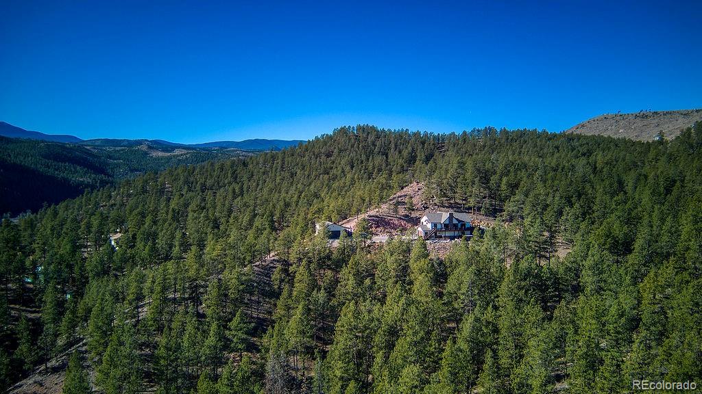 16654 S 7th Street Pine CO 80470