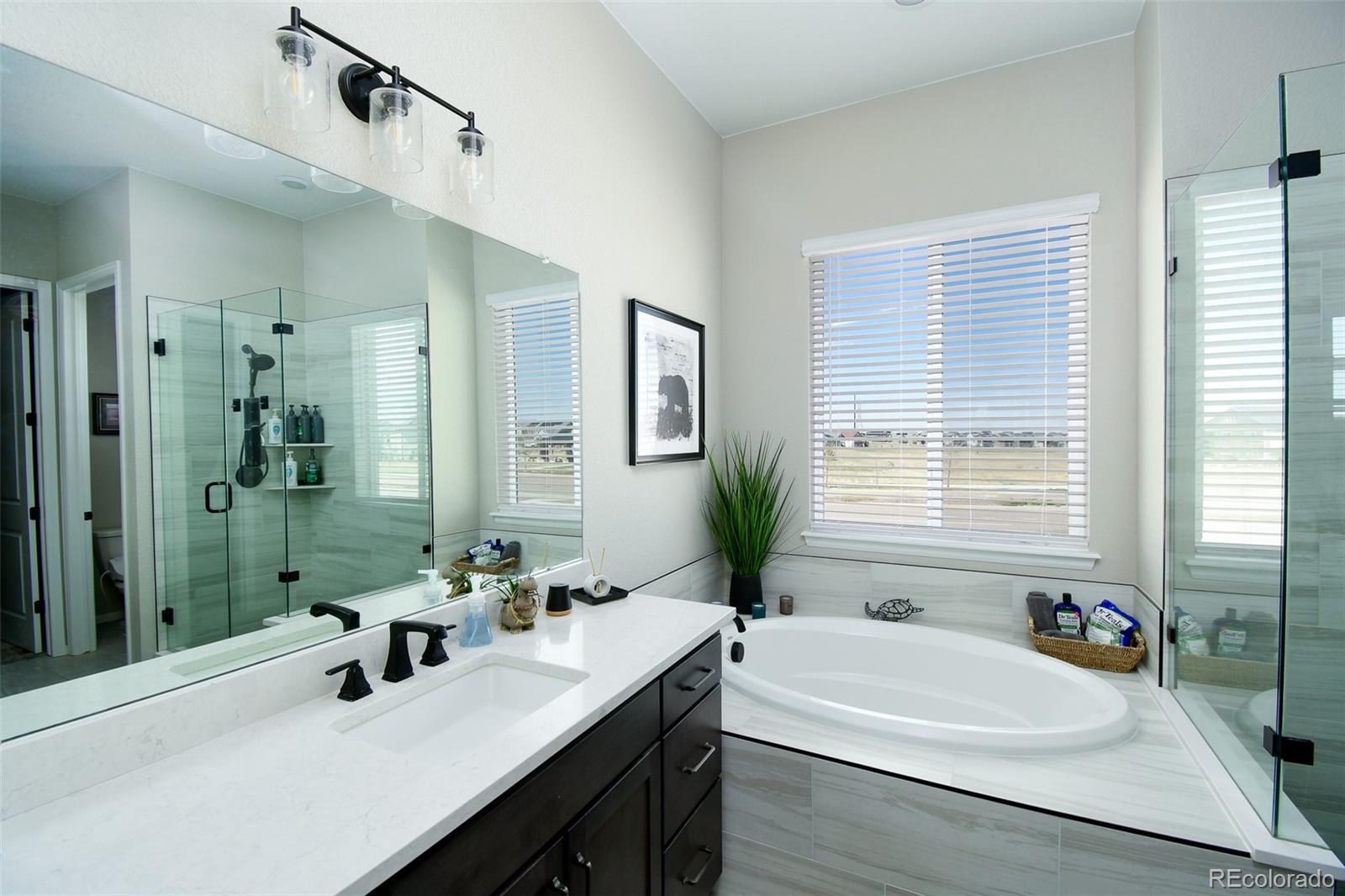 8937 Animas River Street Littleton CO 80125