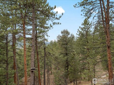 4786 Forest Hill Road Evergreen CO 80439