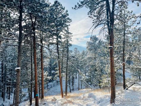 4786 Forest Hill Road Evergreen CO 80439