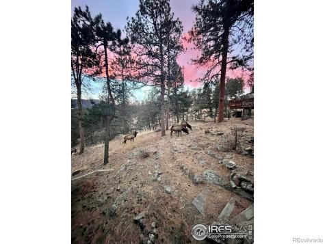 4786 Forest Hill Road Evergreen CO 80439