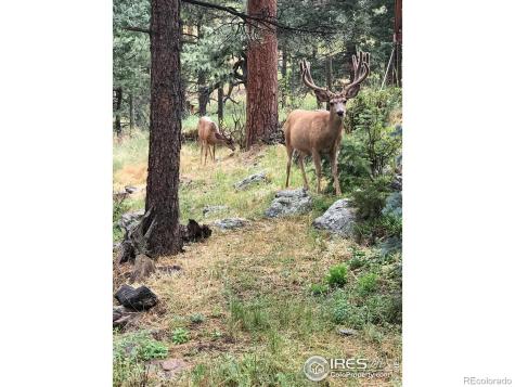 4786 Forest Hill Road Evergreen CO 80439