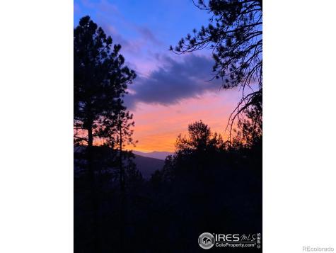 4786 Forest Hill Road Evergreen CO 80439