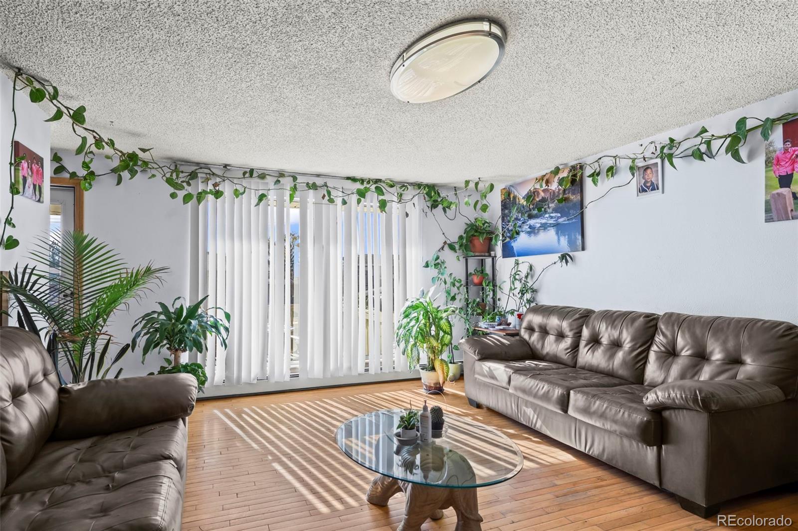 1002 Harmon Place Longmont CO 80501