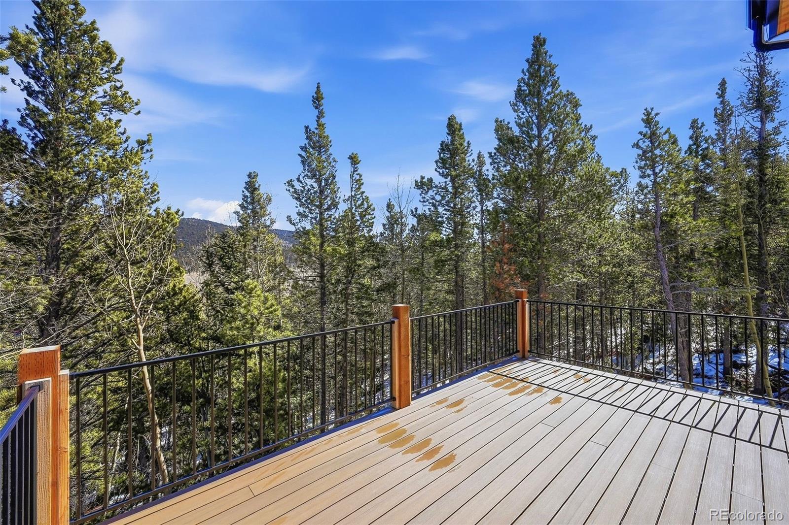 410 N Aspen Street Alma CO 80420