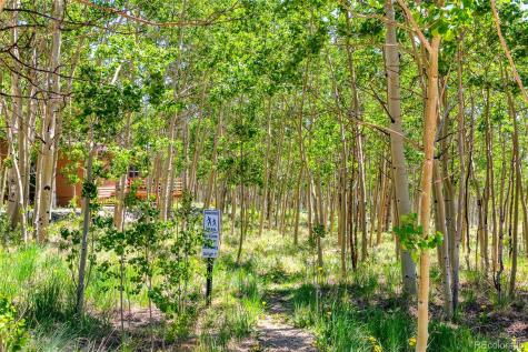 2346 High Creek Road Fairplay CO 80440