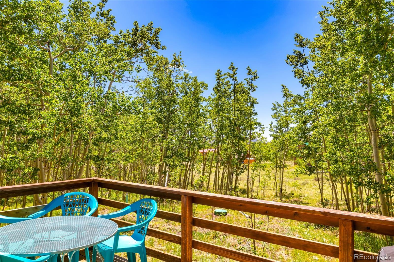 2346 High Creek Road Fairplay CO 80440
