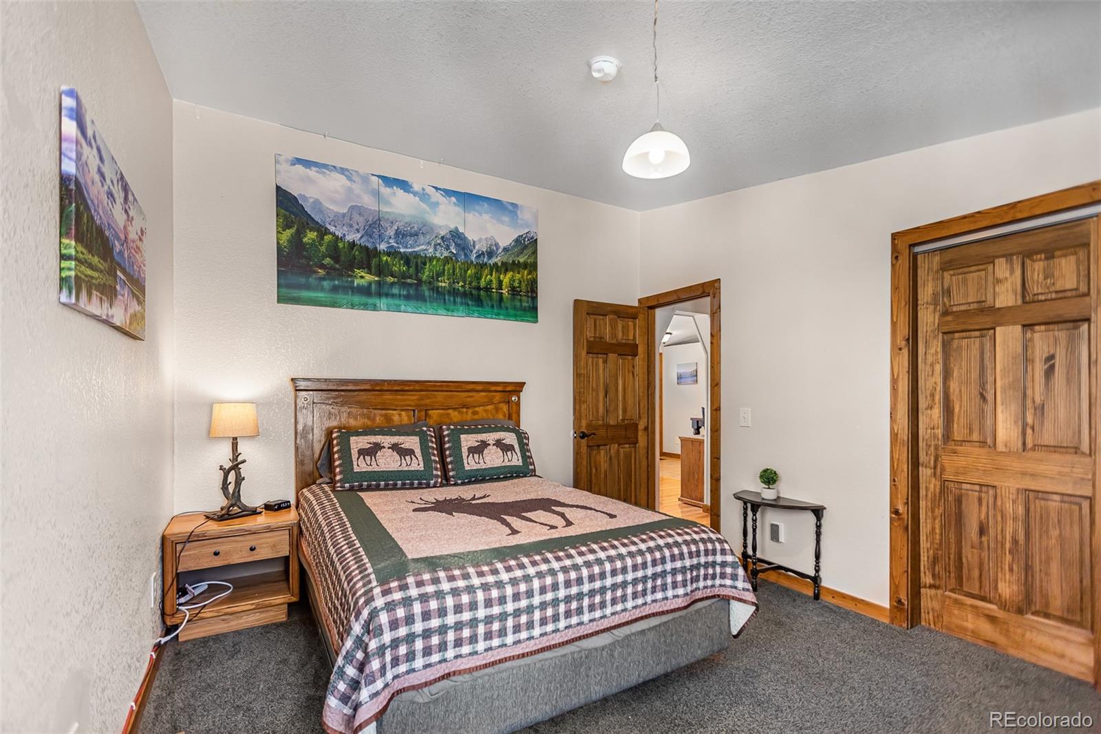 2346 High Creek Road Fairplay CO 80440