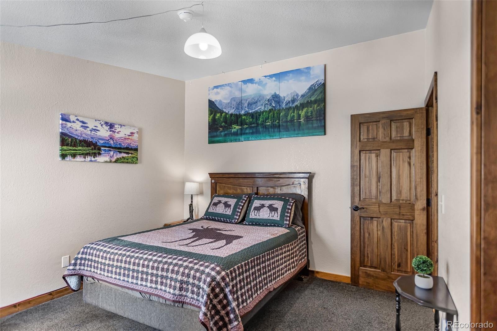 2346 High Creek Road Fairplay CO 80440