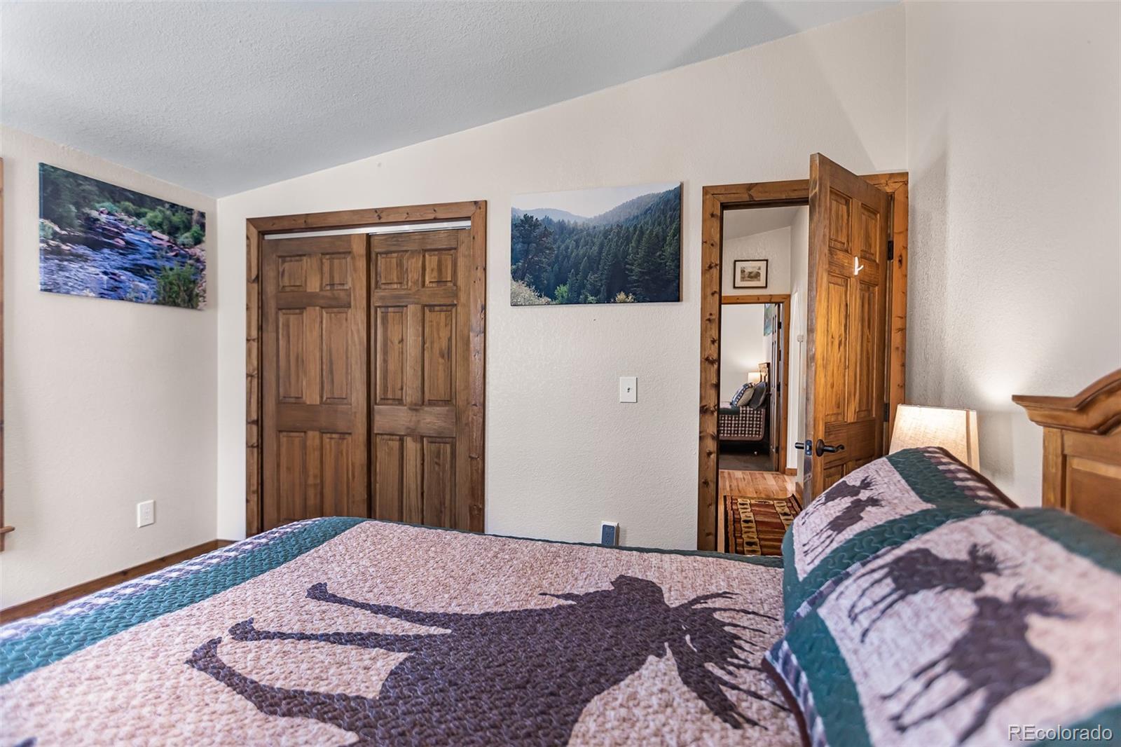 2346 High Creek Road Fairplay CO 80440