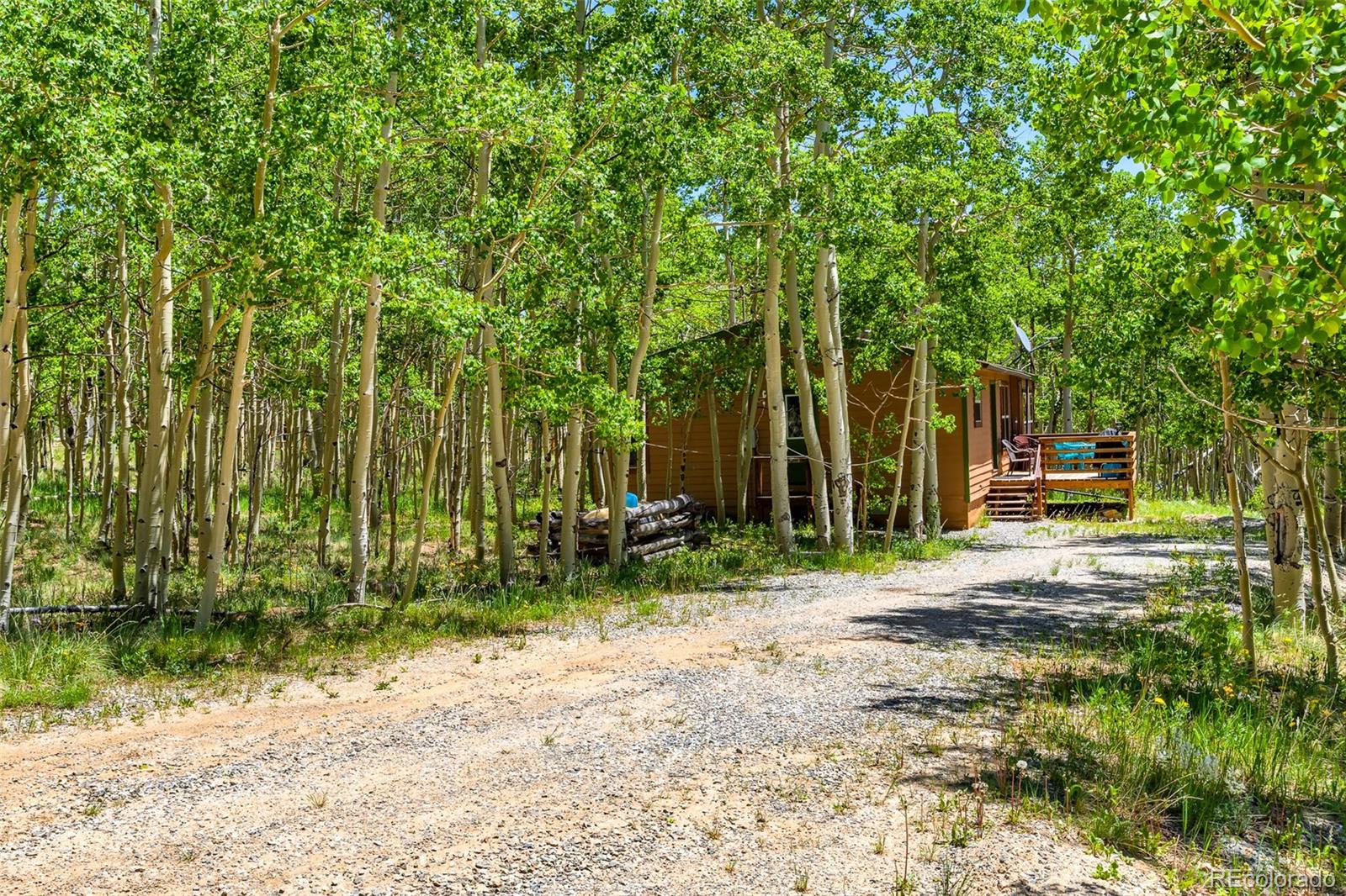 2346 High Creek Road Fairplay CO 80440