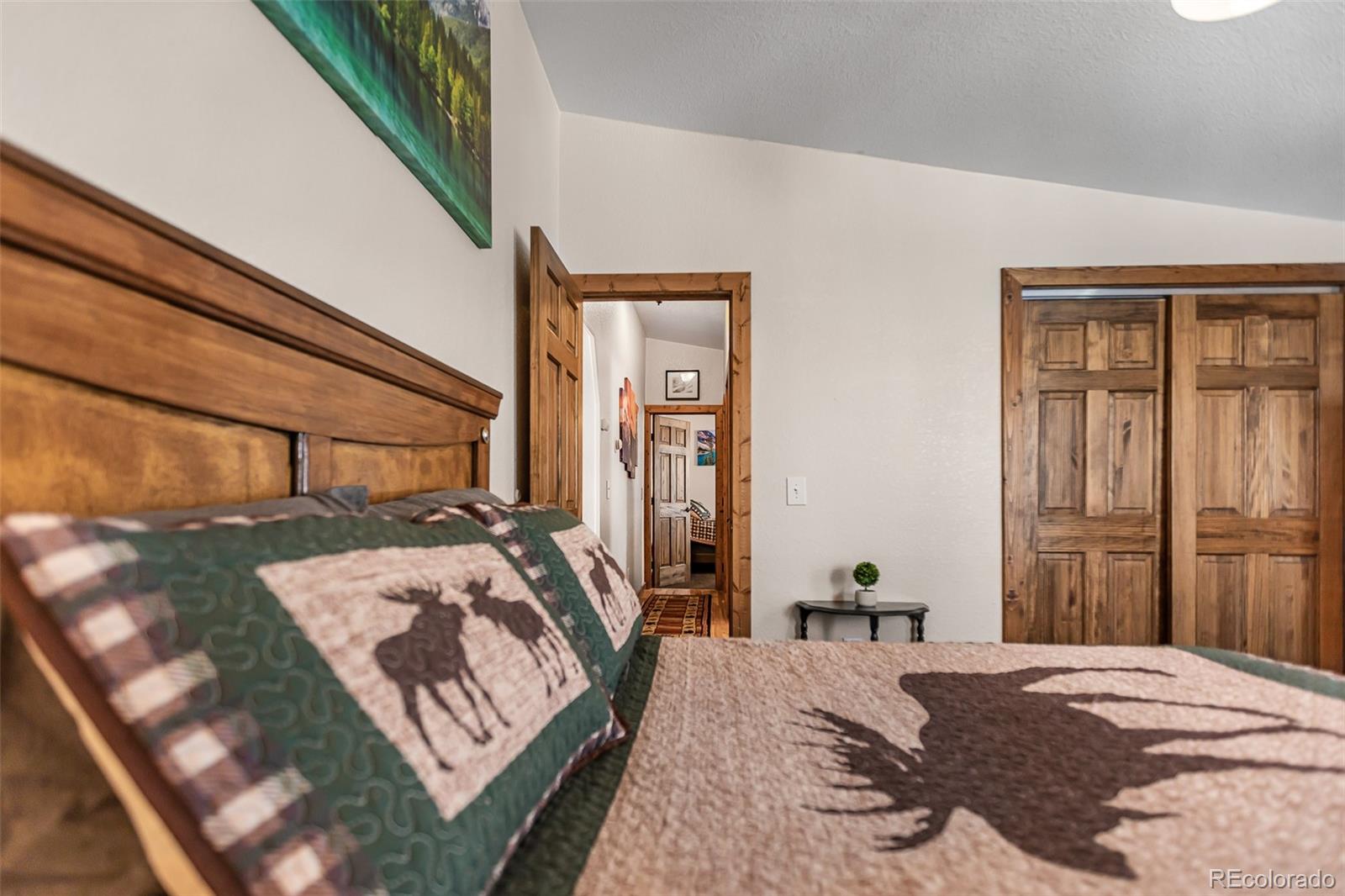 2346 High Creek Road Fairplay CO 80440