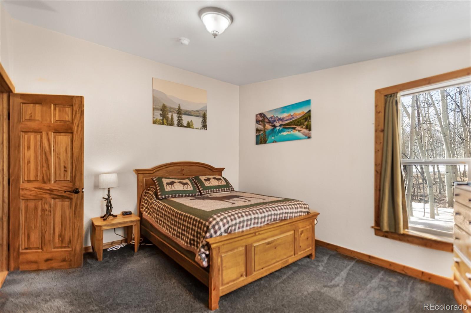 2346 High Creek Road Fairplay CO 80440