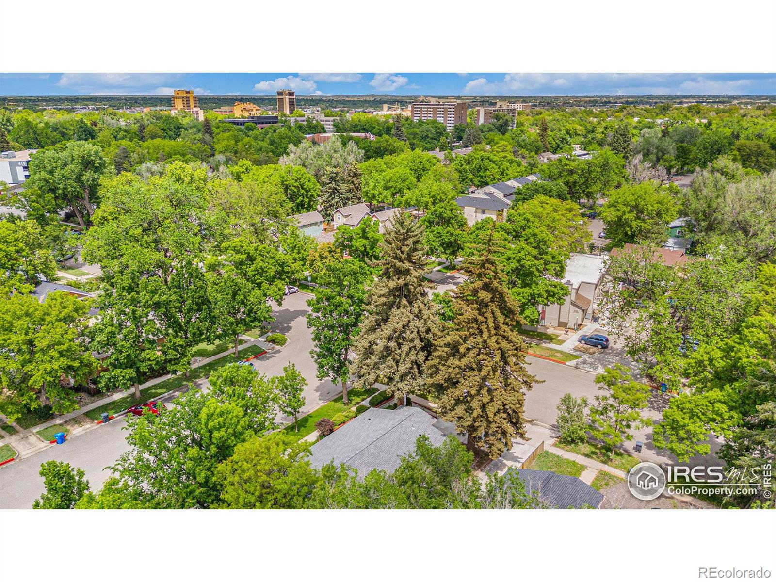 601 S Whitcomb Street Fort Collins CO 80521
