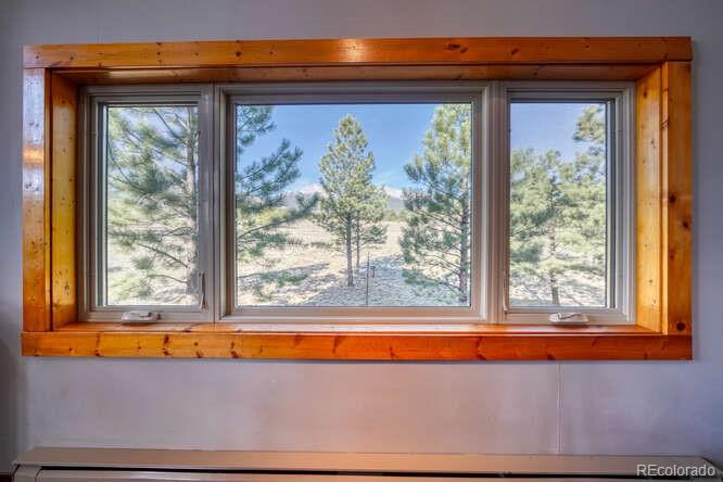 13940 County Road 261f Nathrop CO 81236