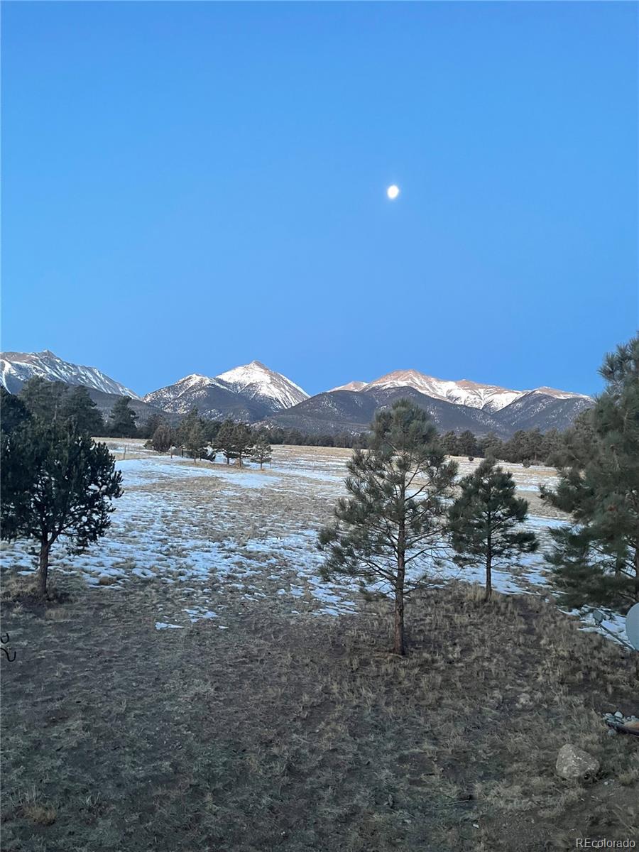 13940 County Road 261f Nathrop CO 81236