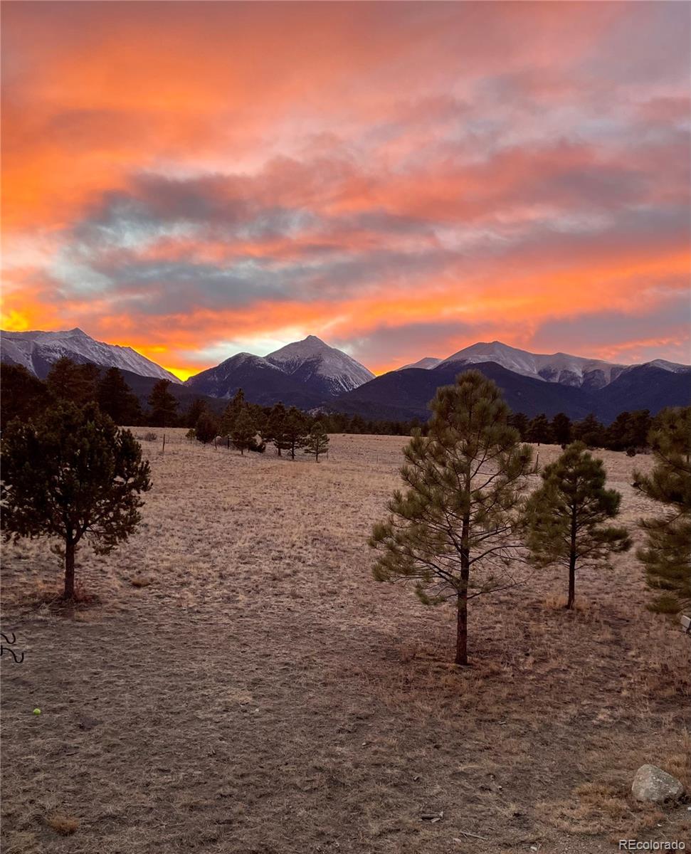 13940 County Road 261f Nathrop CO 81236