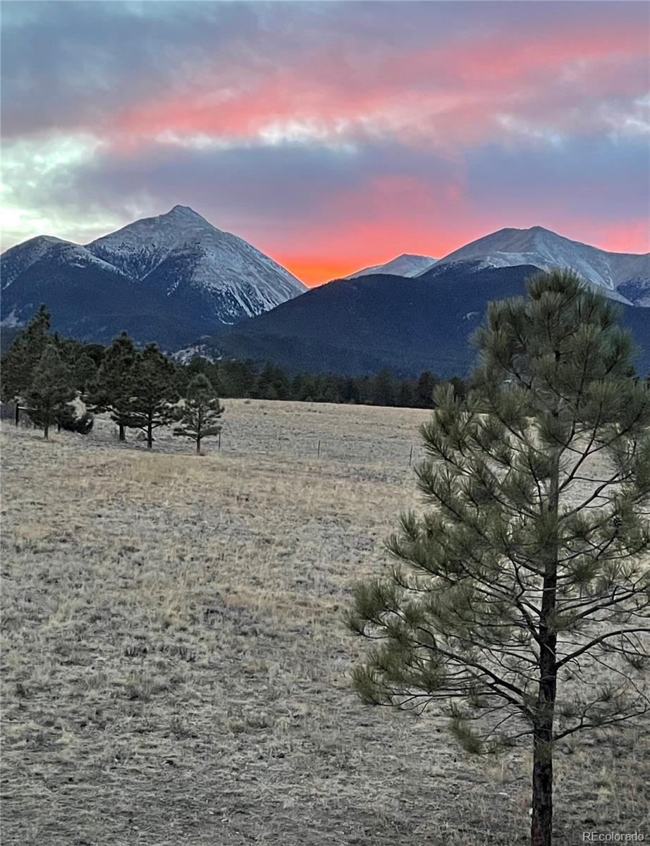 13940 County Road 261f Nathrop CO 81236