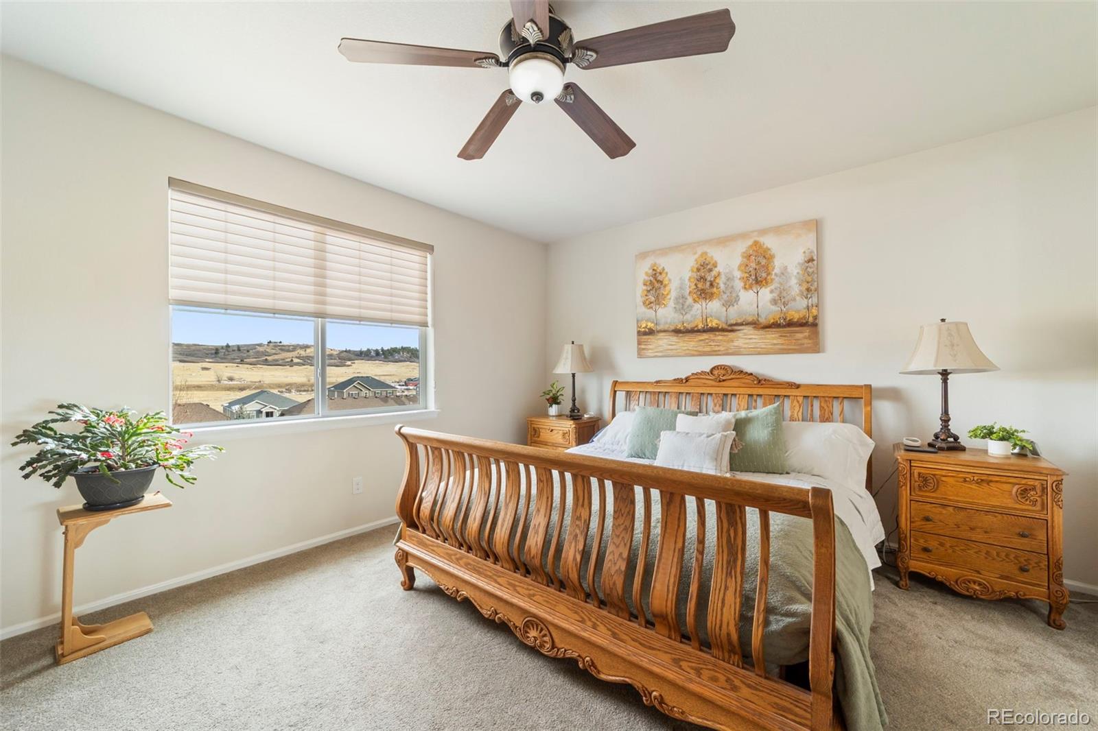 5900 Echo Hollow Street Castle Rock CO 80104
