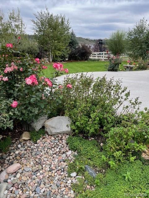 5900 Echo Hollow Street Castle Rock CO 80104