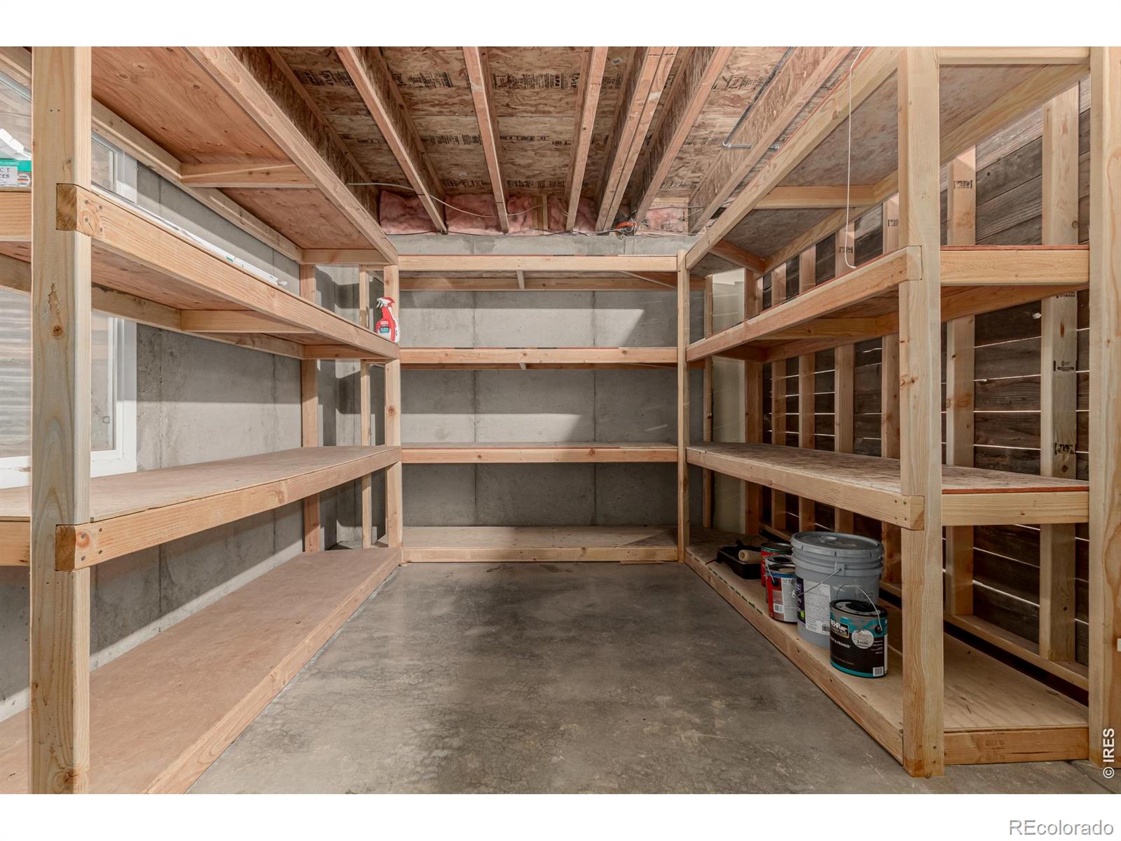 1504 Persian Avenue Loveland CO 80537