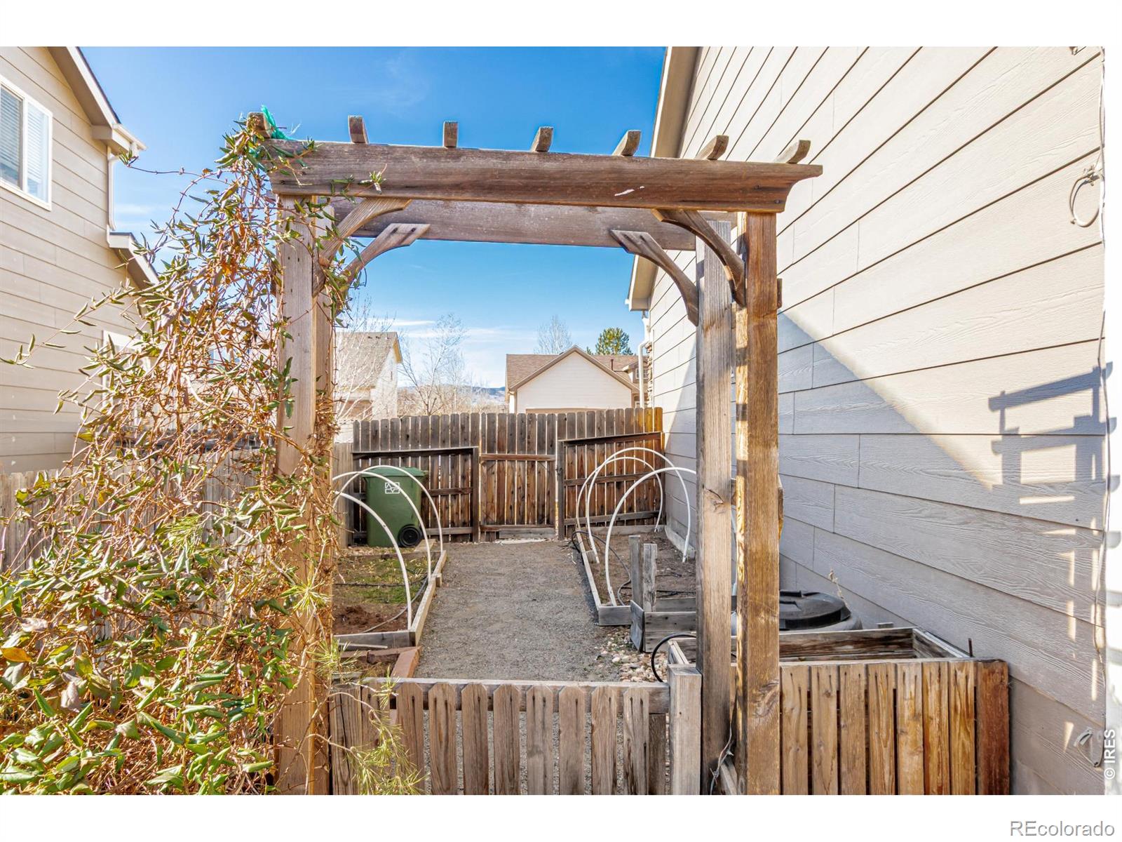 1504 Persian Avenue Loveland CO 80537