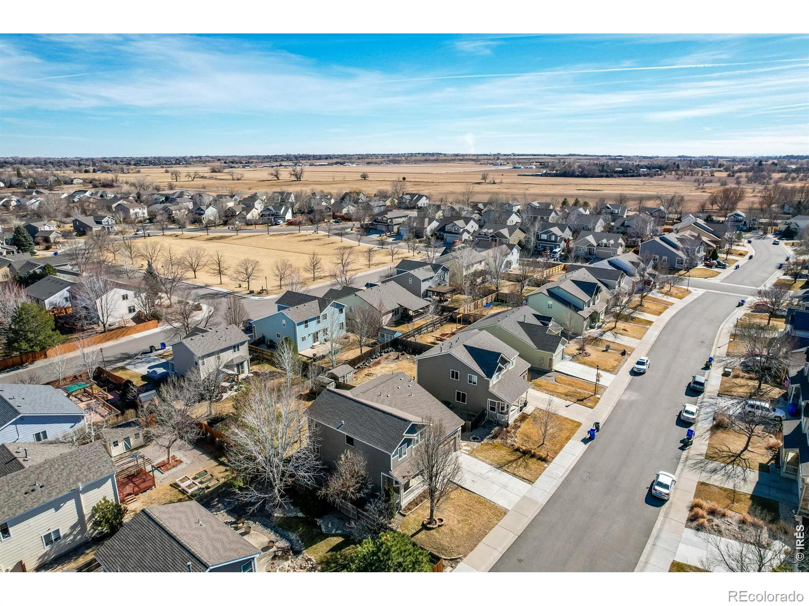 1504 Persian Avenue Loveland CO 80537